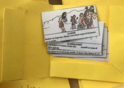 Fiches histoires dans une classe Montessori de Lyon 5e